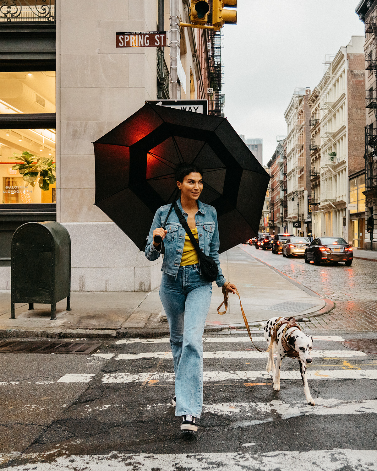 Pet wellness and care